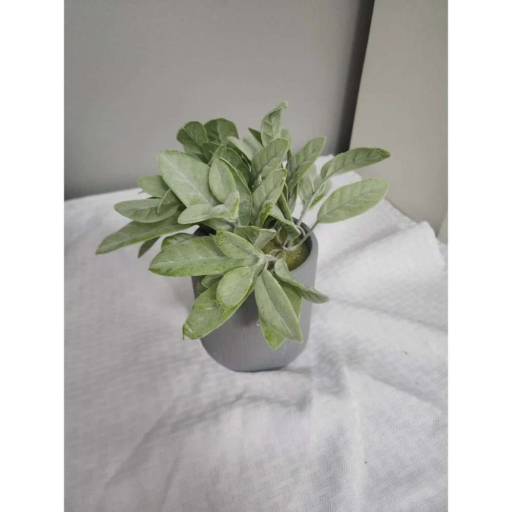 Small Artificial Lambs Ear Faux Plant in Gray Stone Finish Pot Home Decor Accent